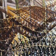 Swifts: Paths of Movement + Dynamic Sequences (Giacomo Balla)