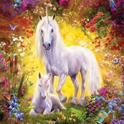 Unicorn Foal