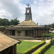 Dominican Institute, Nigeria