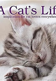 A Cat's Life (Parragon Books)