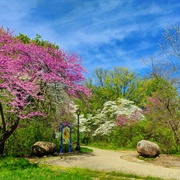 Abraham Lincoln Memorial Garden