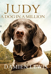Judy: A Dog in a Million (Damien Lewis)