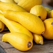 Straightneck Squash