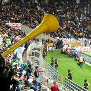 Played(?) a Vuvuzela at a Soccer Match