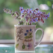 Borage Tea