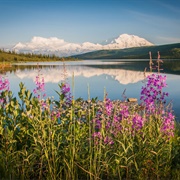 Practice Your Outdoor Photography