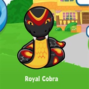 Royal Red Cobra