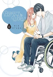 Perfect World Vol. 11 (Rie Aruga)