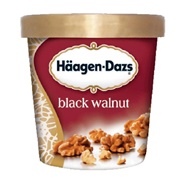 Haagen-Dazs Black Walnut Ice Cream