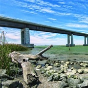 Antioch/Oakley Regional Shoreline