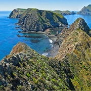Channel Islands National Park, California