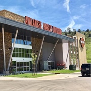 Avalanche Harley-Davidson Golden Colorado USA