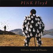 Delicate Sound of Thunder - Pink Floyd