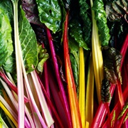 Rainbow Chard