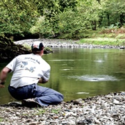 Skim Stones at a Pond