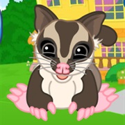 Sugar Glider