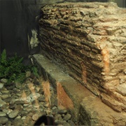 Roman Forum Leadenhall Market