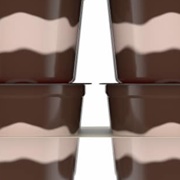 Chocolate and Vanilla Pudding