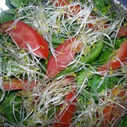 Tomato Alfalfa and Watercress Salad