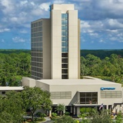 Wyndham Lake Buena Vista