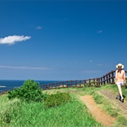 Jeju Olle Trail
