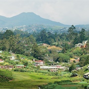 Nuwara Eliya, Sri Lanka