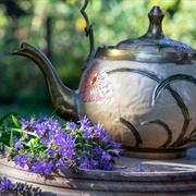 Hyssop Tea