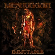 Immutable (Meshuggah, 2022)