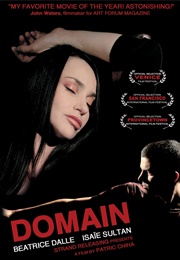 Domain (2009)
