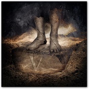 Brighteye Brison - V