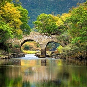 Killarney National Park