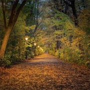 Bois-De-Coulonge Park