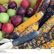 Apple and Corn
