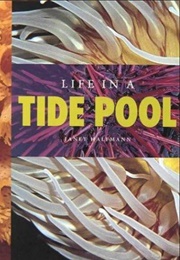 Life in a Tide Pool (Janet Halfmann)