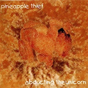 Pineapple Thief - Abducting the Unicorn