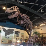 Rocky Mountain Dinosaur Resource Center