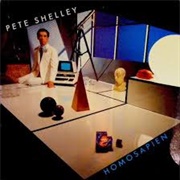 Homosapien - Pete Shelley
