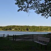 Head of the Harbor, New York