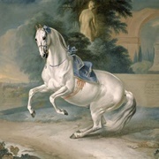 The White Stallion &quot;Leal&quot; En Levade (J. G. Hamilton)