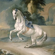 The White Stallion "Leal" En Levade (J. G. Hamilton)