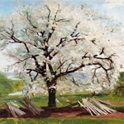 Apple Tree in Blossom (Carl Fredrik Hill)
