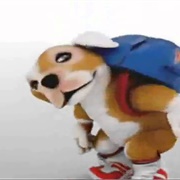 Animales Animados Cantando