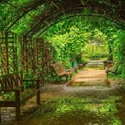 Moscow Apothecary Garden