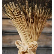 Sheaf of Wheat