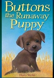 Buttons the Runaway Puppy (Holly Webb)