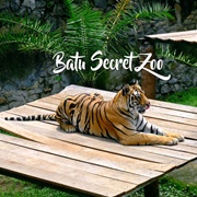 Batu Secret Zoo, Indonesia