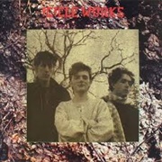 Birds Fly (A Whisper to a Scream) - The Icicle Works