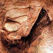 Dinosaur National Monument, Colorado & Utah, USA