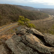 Naugatuck State Forest