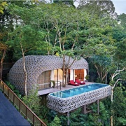 Stay in a Luxury Treehouse